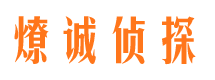 景宁侦探公司